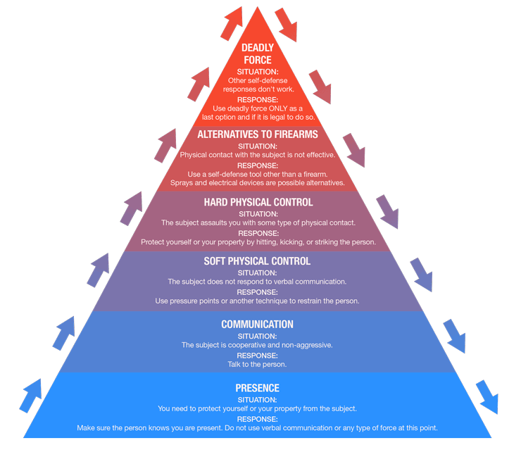 Use of Force Diagram